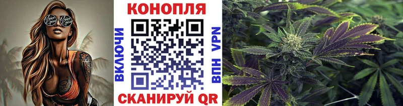МАРИХУАНА конопля Рошаль